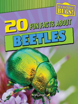 cover image of 20 Fun Facts About Beetles